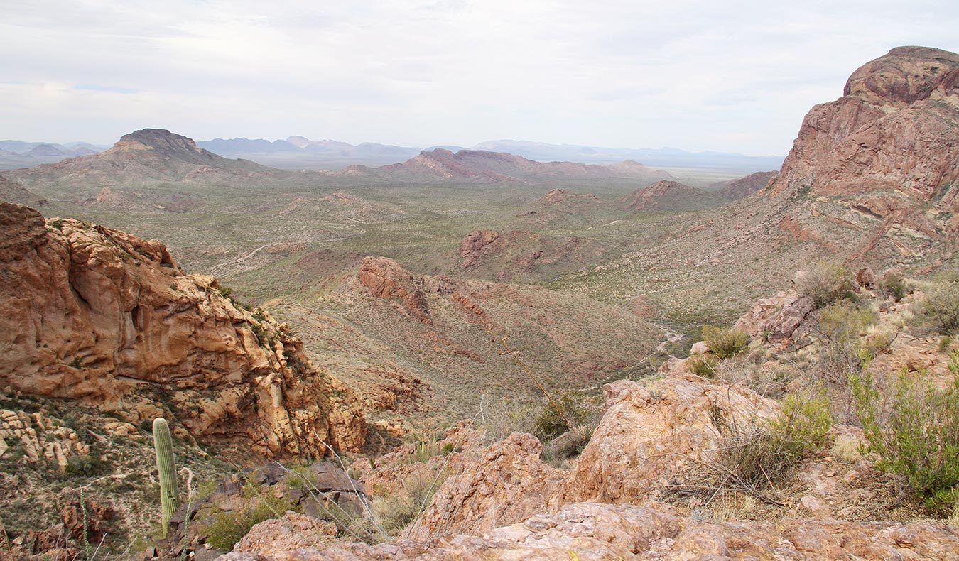 Stunned by Southern Arizona's beauty - Where is frenchie?